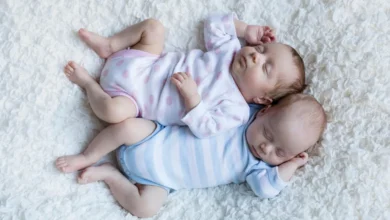 chinesischer empfängniskalender rechner